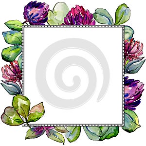 Wildflower clover flower in a watercolor style frame.