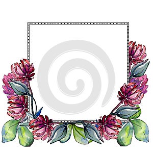 Wildflower clover flower in a watercolor style frame.