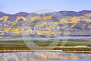 Wildflower covered mountains reflected in the temporary waters of Soda Lake, Carrizo Plain National Monument, Central California