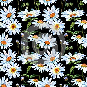 Wildflower daisy flower pattern in a watercolor style.