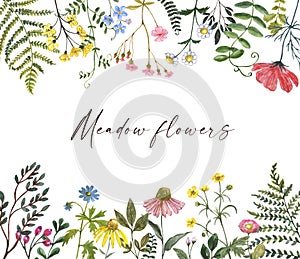 Wildflower floral border with wild flowers and green leaves on white background. Watercolor botanical illustration photo