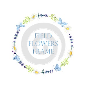 Wildflower frame. Chamomile Lavender wreath.