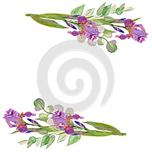 Wildflower iris flower frame in a watercolor style isolated. Delicate flowers. Purple iris. Women's Day. Beautiful