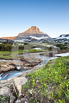 Wildflower meadow at Logan Pass, Glacier National Park, MT