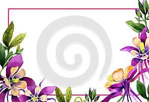 Wildflower orhid promo sale banner template in a watercolor style isolated