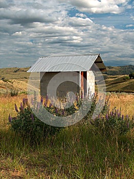 Wildflower Outhouse photo