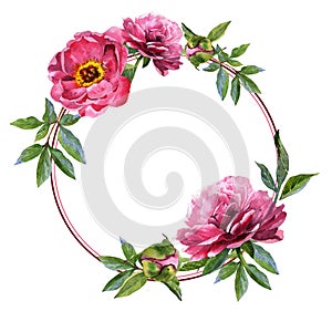 Wildflower peony flower frame in a watercolor style isolated.