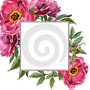 Wildflower peony flower frame in a watercolor style isolated.