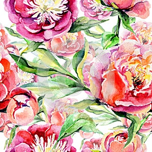 Wildflower peony flower pattern in a watercolor style.