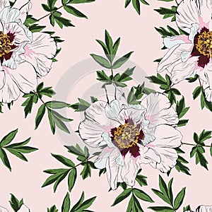 Wildflower peony flower seamless pattern isolated on nude background.