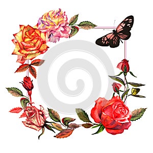 Wildflower rose flower frame in a watercolor style isolated.