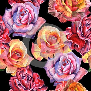 Wildflower rose flower pattern in a watercolor style isolated.