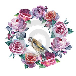 Wildflower rose flower wreath in a watercolor style isolated.