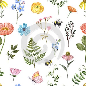 Wildflower seamless pattern. Watercolor summer meadow flowers and green leaves print. Cute botanical hand painted backdrop