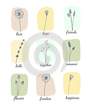 Wildflower set. Botany illustration. Isolated doodle flower