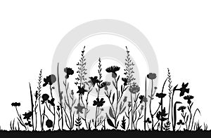 Wildflower silhouettes. Wild grass spring field. Herbal summer vector background