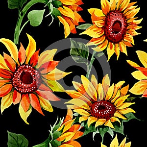 Wildflower sunflower flower pattern in a watercolor style.