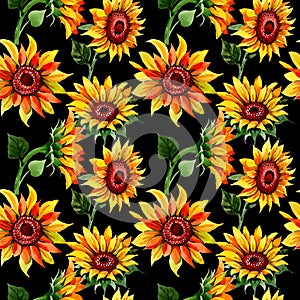 Wildflower sunflower flower pattern in a watercolor style.