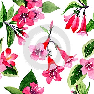 Wildflower weigela flower pattern in a watercolor style.