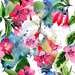 Wildflower weigela flower pattern in a watercolor style.