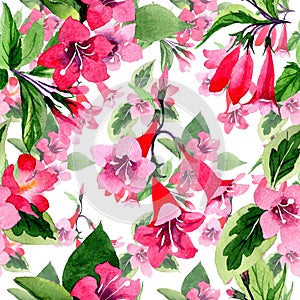 Wildflower weigela flower pattern in a watercolor style.