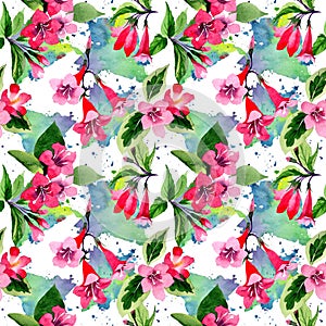 Wildflower weigela flower pattern in a watercolor style.