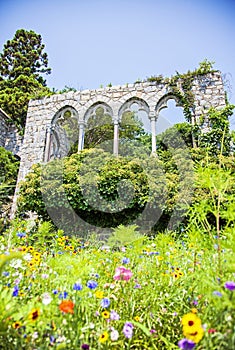 Wildflowers Arches and columns at hammond castle photo