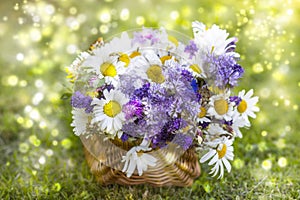 wildflowers in a basket - summertime