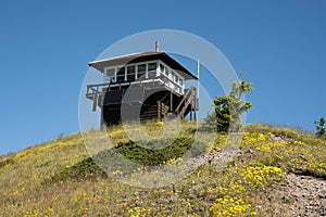Wildflowers Below Huckleberry Lookout Tower