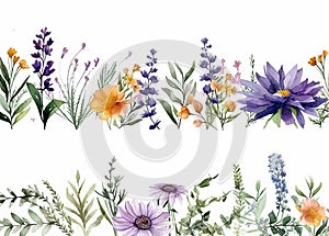 wildflowers border illustration on white background, watercolor style, chamomile, lavender, eucalyptus leaves, created with ai