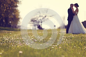 Wildflowers with bride and groom as silhouettes