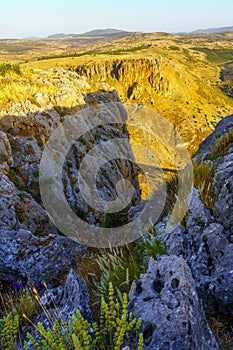 Wildflowers and the cliffs of Mount Nitai, in mount Arbel