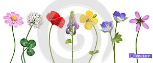 Wildflowers. 3d realistic vector icon set