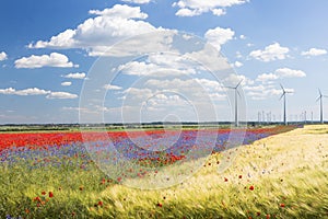 Wildflowers in field