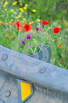 Wildflowers growing through roadside crash barrier support. photo