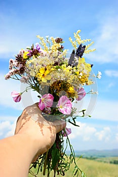 Wildflowers and hand photo