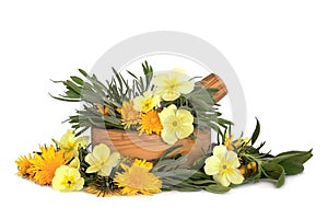 Wildflowers and Herb Leaves