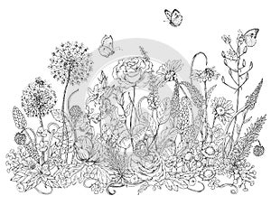 Wildflowers and insects sketch