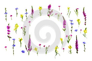 Wildflowers: Lythrum salicaria  salgueirinha, erva-carapau, salicaria, salgueirinha-roxa, Epilobium,  Linaria vulgaris toadflax photo