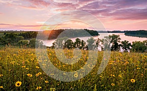 Wildflowers in a meadow over the lake at sunset