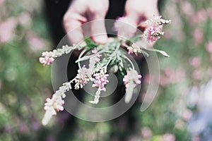 Wildflowers on a meadow in a sunny day. Shot with a selective focus