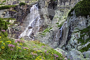 wildflowers near waterfall in summer