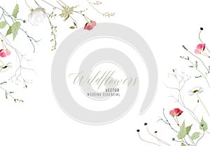 Wildflowers and plants vector design frame. Hand painted meadow branches, flowers, leaves on white background.