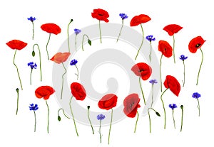 Wildflowers: red poppies corn poppy, corn rose, field poppy, Flanders poppy, red weed, coquelicot and cornflowers on white