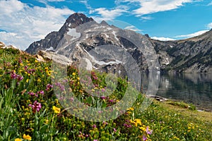 Wildflowers at Sawtooth Lake, Idaho