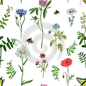 Wildflowers seamless pattern. Watercolor hand drawn wild flower print. Summer meadow illustration