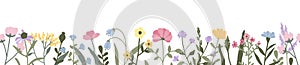 Wildflowers seamless border with spring flowers and green leaves. Botanical banner with floral, herbs