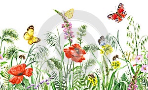 Wildflowers Seamless Horizontal Border