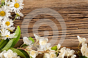 Wildflowers. Studio photography. Camomile, jasmine, on the black