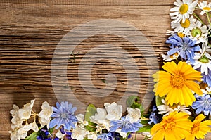 Wildflowers. Studio photography. Camomile, jasmine, cornflower,